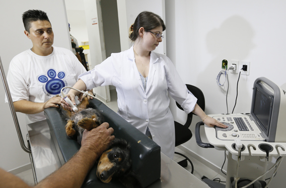 Um balanço do novo hospital veterinário público da Zona Norte até agora