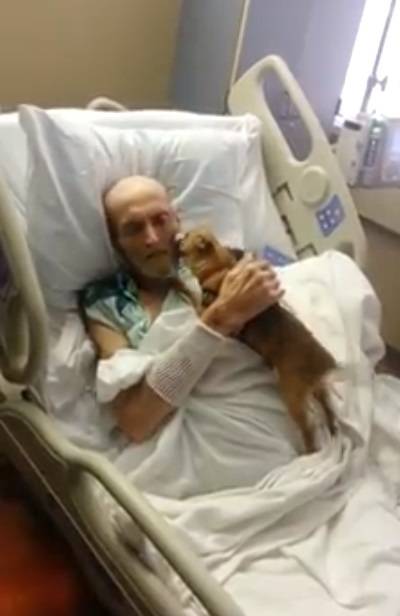 Paciente à beira da morte nos EUA recebe visita de seu chihuahua e apresenta melhoras