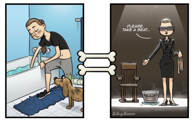 Sete ilustrações divertidas mostram como os cachorros veem o mundo