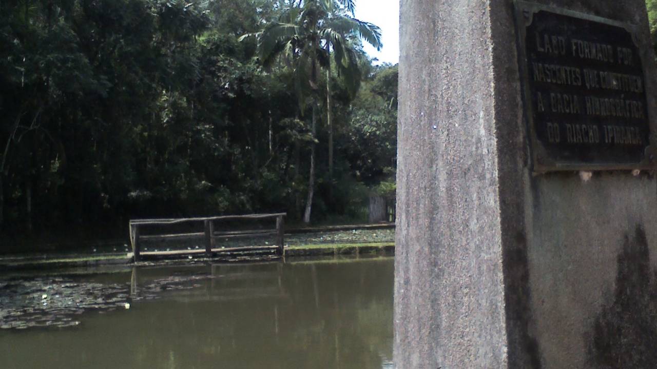 img584.jpeg