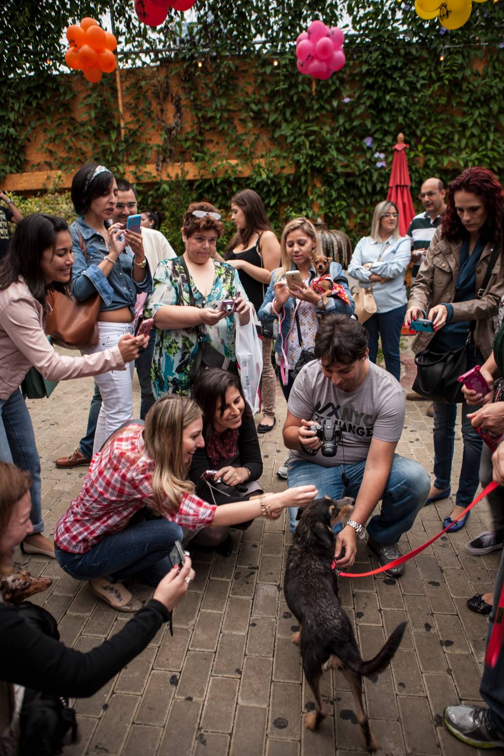 Festa Estopinha _ Estopinha