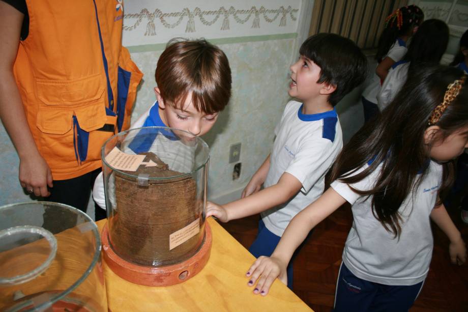 Mostra retrata de forma lúdica e interativa informações sobre os insetos Mostra retrata de forma lúdica e interativa informações sobre os insetos