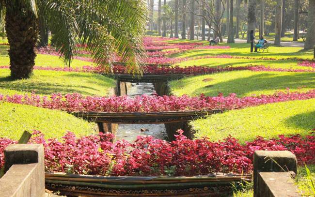 Caminho do Rio, de Jean Paul Ganem - Jardim Botânico