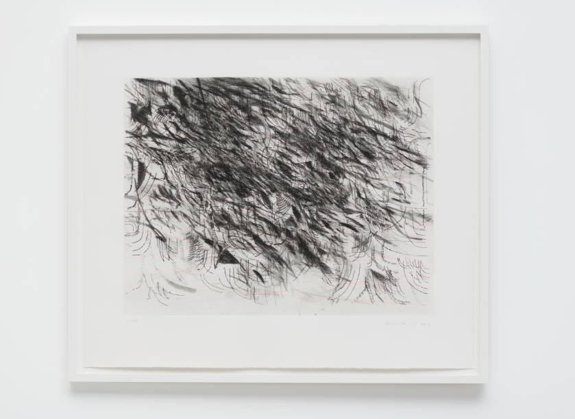 	Untitled 2013, de Julie Mehretu