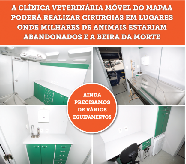 kickante_imagem3-04