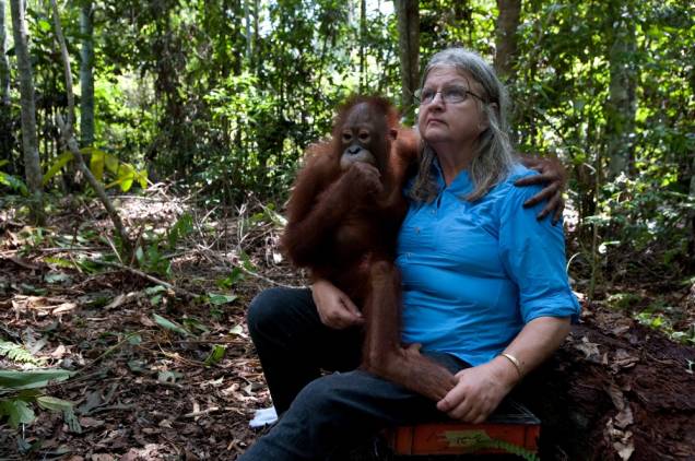 Documentário Born to Be Wild: fita leva a plateia até Bornéu e Quênia Documentário Born to Be Wild: fita leva a plateia até Bornéu e Quênia