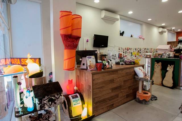 EDUARDO REBSKE EM SEU CAT SHOP