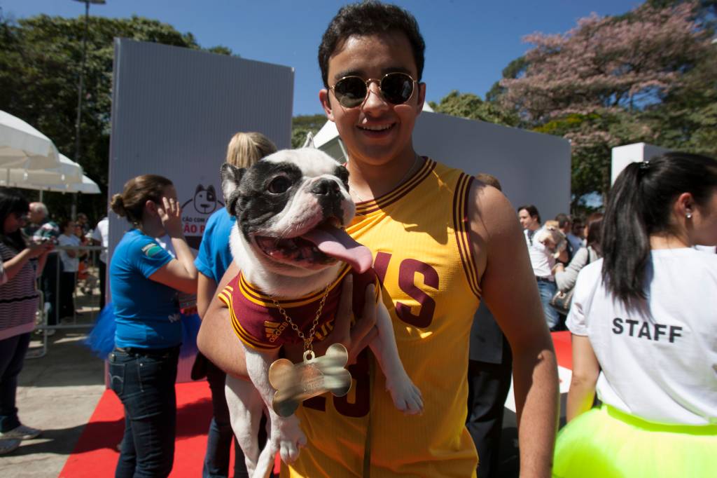 Buldogue francês é eleito o Cão com a Cara de São Paulo. Confira vídeo do evento