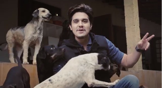 Luan Santana lança clipe da música Cê Topa, que chama a atenção para a causa animal