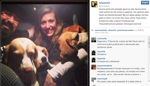 Resgate de beagles do Instituto Royal vira assunto do dia na internet e mobiliza famosos