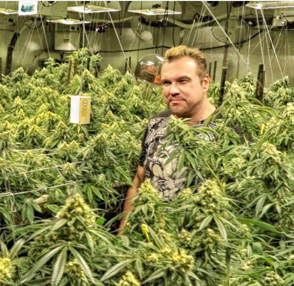 Marijuana Don