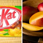 5) Manga &mdash; n&atilde;o conseguimos nem imaginar o qu&atilde;o indigesto isso deve ser