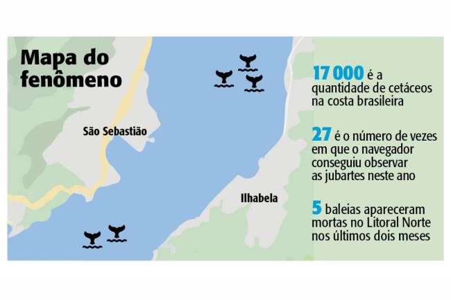 Mapa Lollapalooza Revista