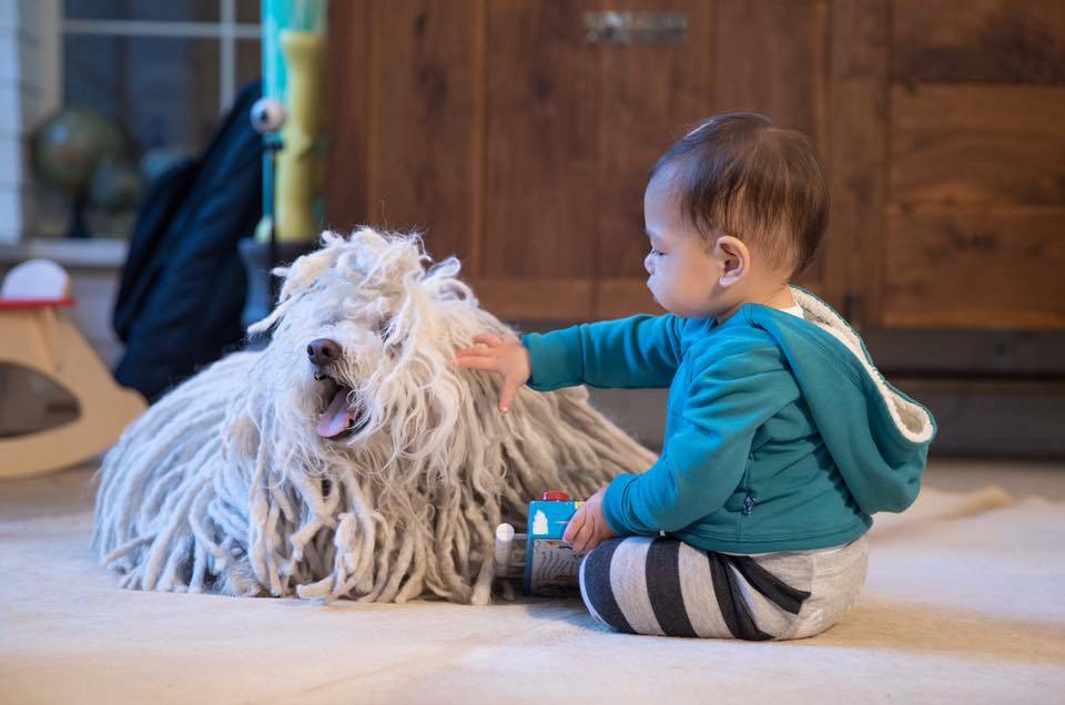 “Dog” foi a primeira palavra dita pela filha de Mark Zuckerberg