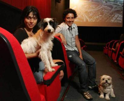 Cinema bom pra cachorro