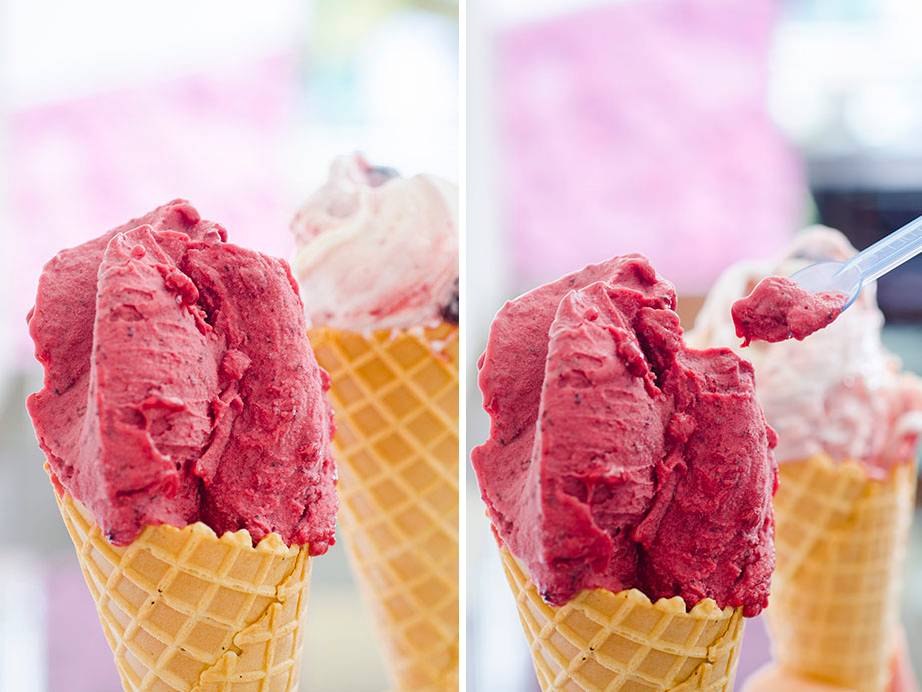 max-gelateria-002
