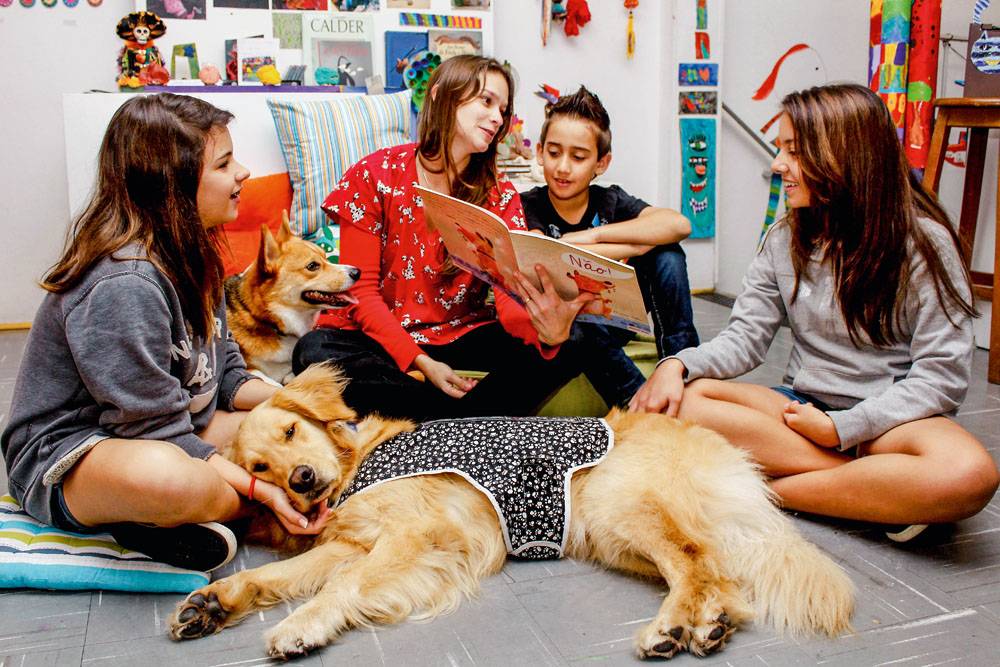Humanimais leva cachorros para rodas de leitura, escolas, consultórios e empresas