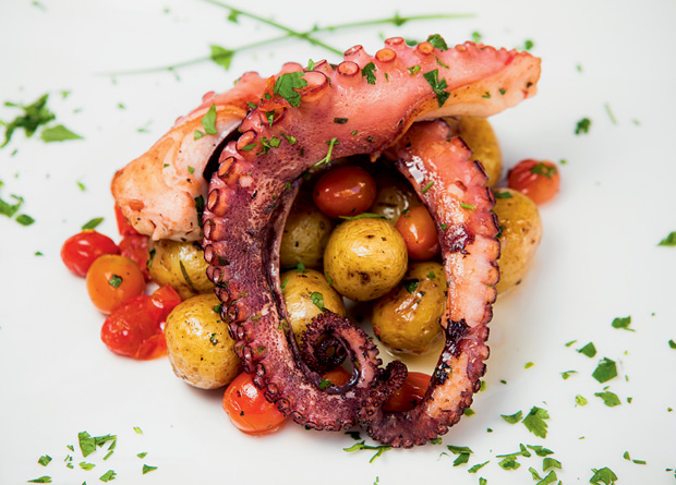 Polvo grelhado com tomate e batata: cardápio renovado Polvo grelhado com tomate e batata: cardápio renovado