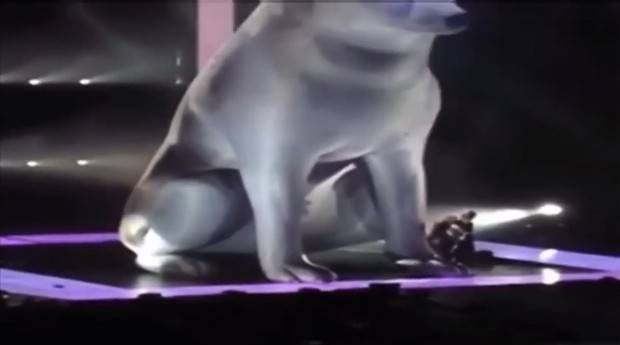 Miley Cyrus desmaia em show e é internada; assista ao vídeo