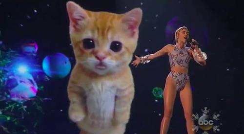 Miley Cyrus canta ‘Wrecking Ball’ com um gato digital gigante (!) no American Music Awards; fofo ou bizarro?
