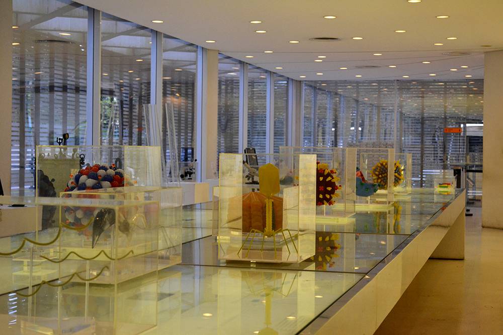 museu-de-microbiologia.jpeg