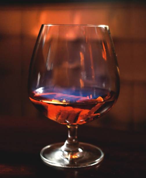 O blazer nº6 O blazer nº6