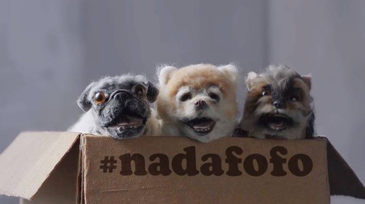 Entidade critica comércio de cães de raça com vídeo ácido