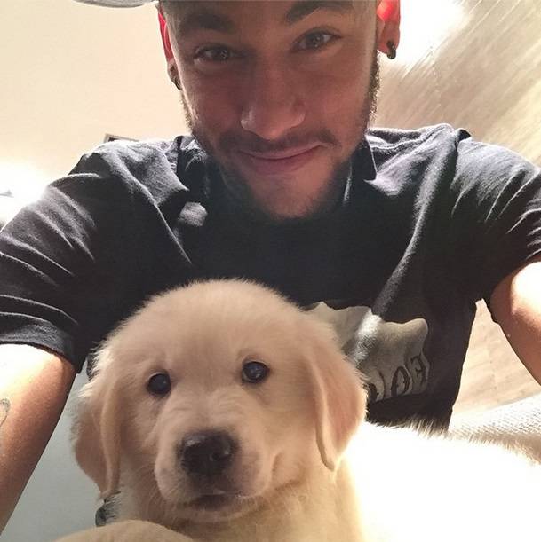 Conheça Poker, o novo companheiro de Neymar