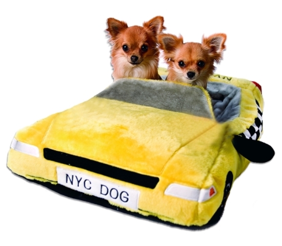 nyc_taxi_bed