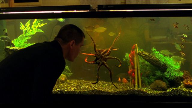 Oldboy - Dias de Vingança: o ator Josh Brolin Oldboy - Dias de Vingança: o ator Josh Brolin