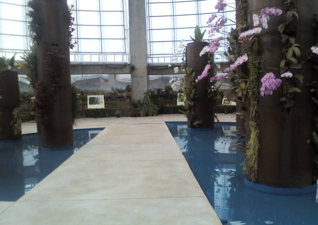 Ambiente interno do orquidário Ambiente interno do orquidário