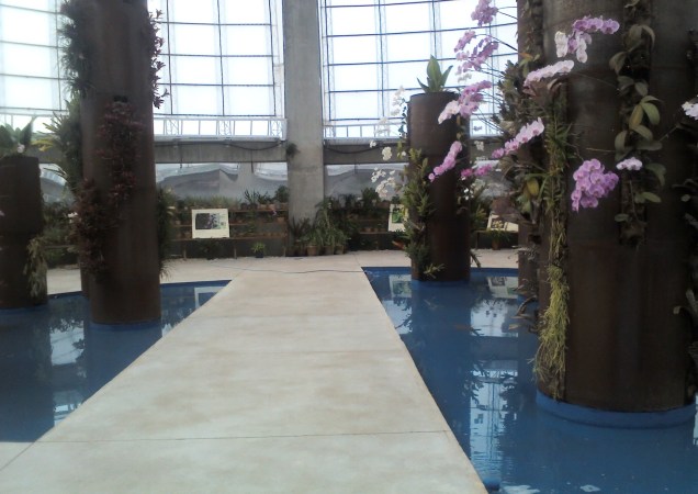 Ambiente interno do orquidário Ambiente interno do orquidário