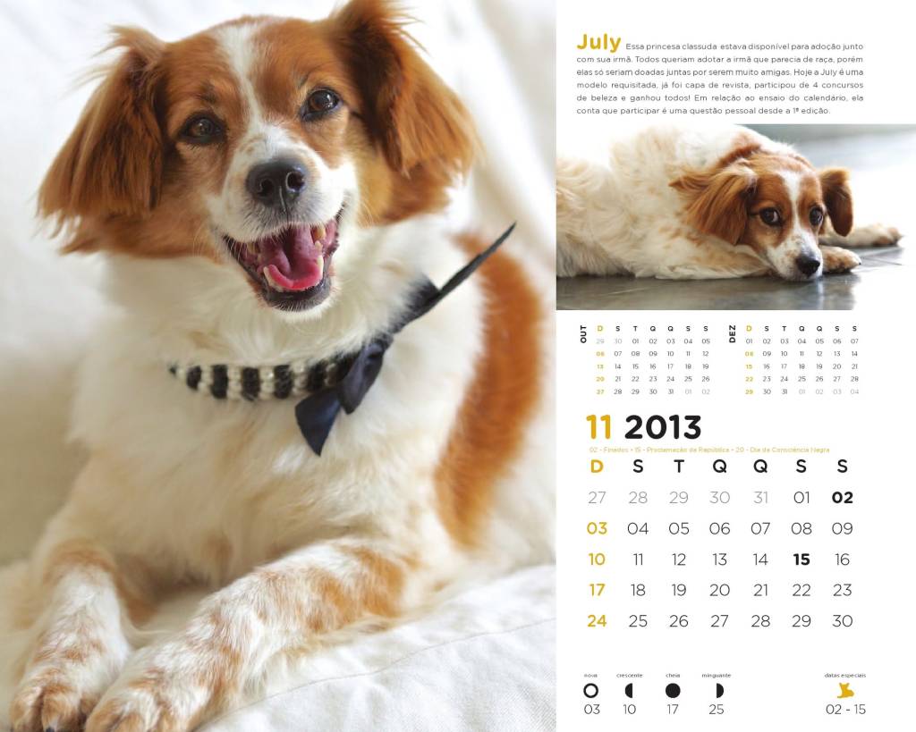 A vez dos vira-latas