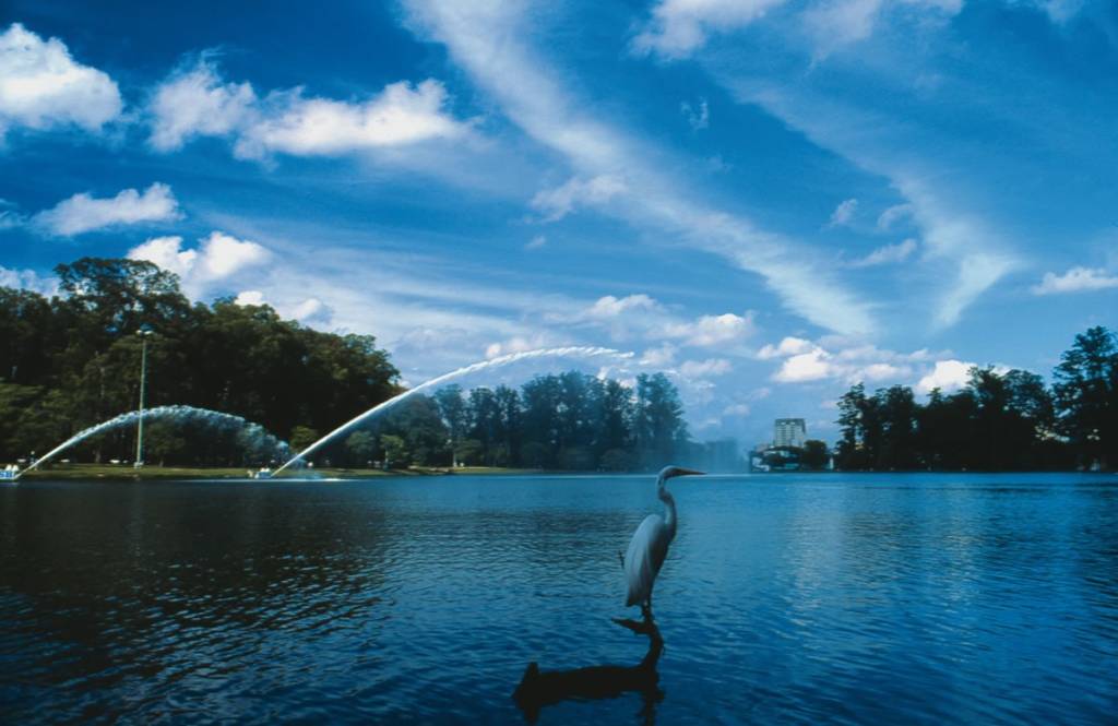 Parque do Ibirapuera: 160 espécies de animais Parque do Ibirapuera: 160 espécies de animais
