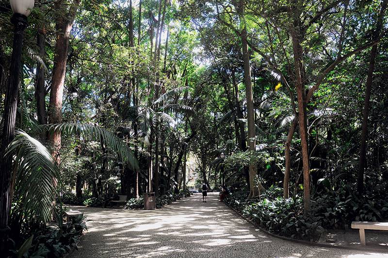 parque-trianon-cida-souza-jpg.jpeg
