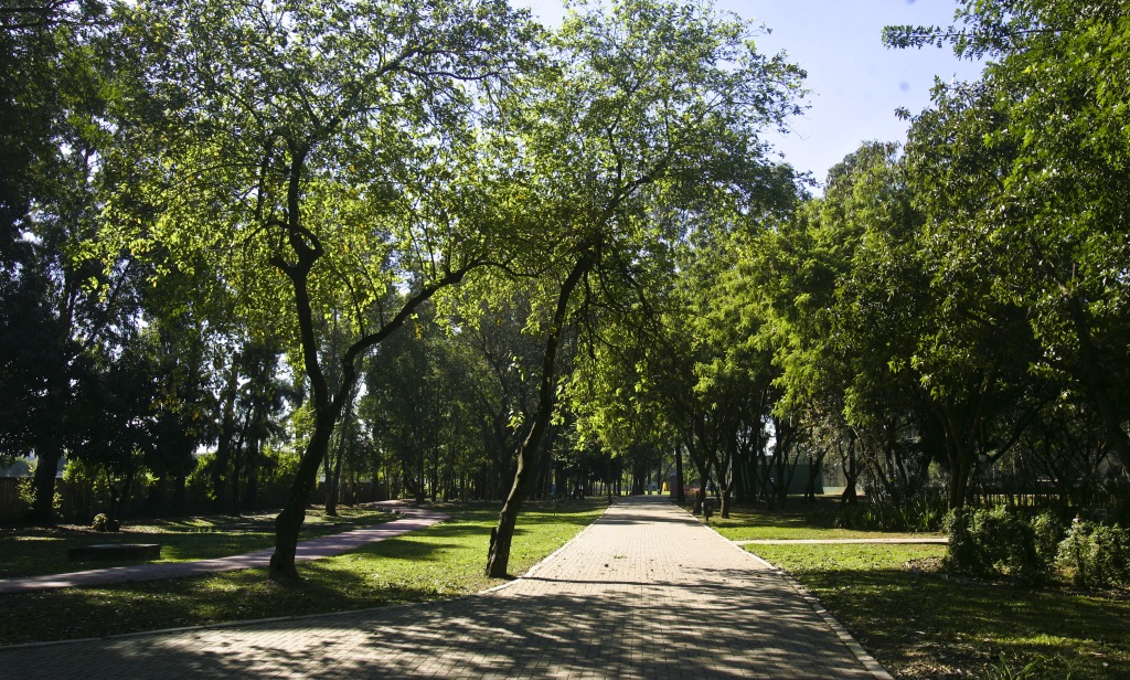 parque-vila-leopoldina-orlando-villas-boas-mario-rodrigues.jpeg