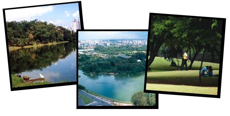Instagram: missão da semana