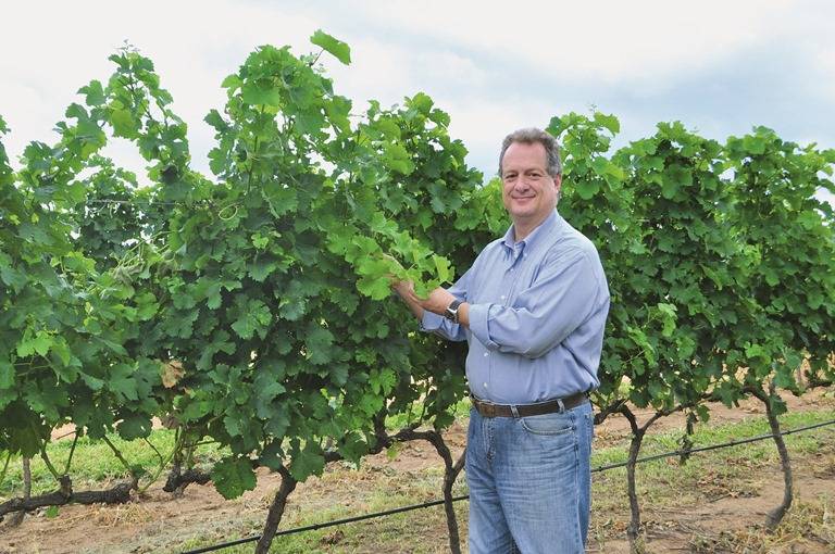 Vinhos Guaspari chegam às prateleiras do St Marche