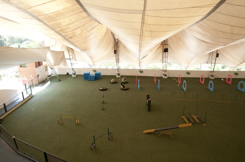 Pet Memorial possui um espaço projetado para treinamento de cães (Pista de Agility) Pet Memorial possui um espaço projetado para treinamento de cães (Pista de Agility)