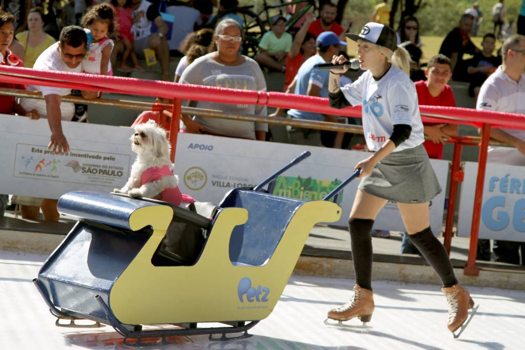 Pista de patinação no gelo do Parque Villa-Lobos tem carrinho especial para cães