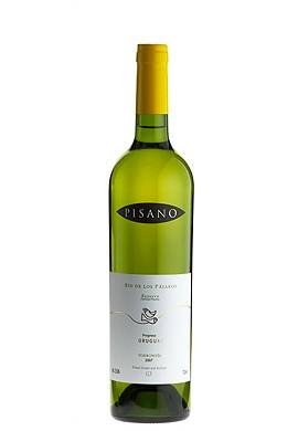 Vinho da semana