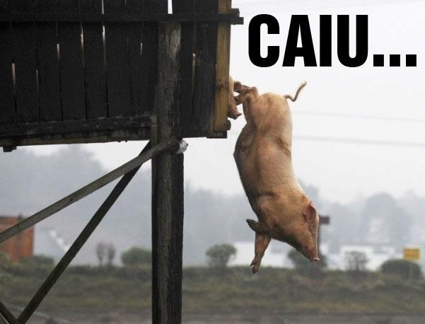 Palmeiras na Série B: as piadas que bombaram na internet