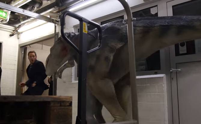 Chris Pratt cai em pegadinha com dinossauros. Assista ao vídeo que já teve mais de 2 milhões de visualizações