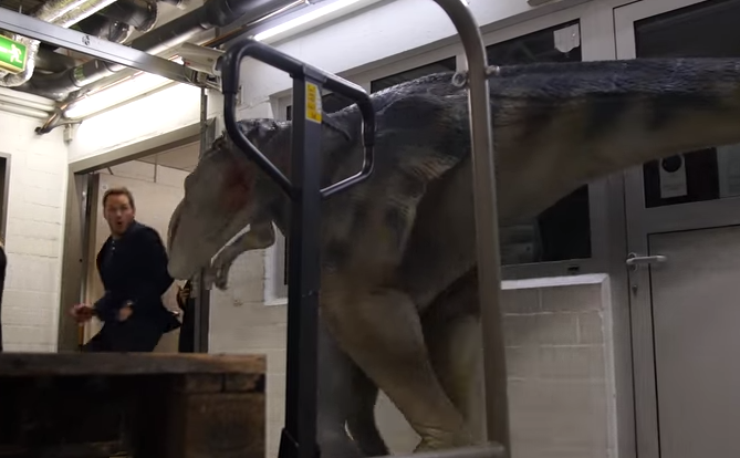 Chris Pratt cai em pegadinha com dinossauros. Assista ao vídeo que já teve mais de 2 milhões de visualizações