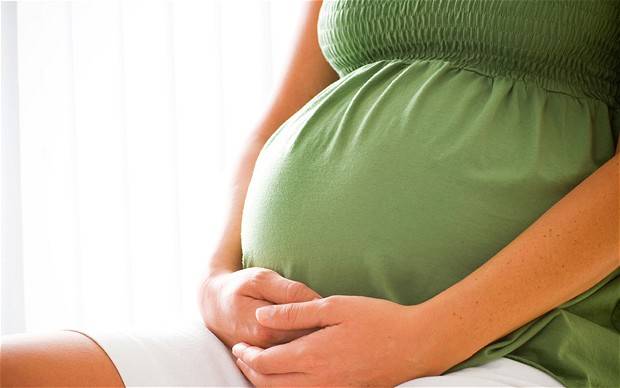 Mudanças da maternidade são culturais e não apenas biológicas
