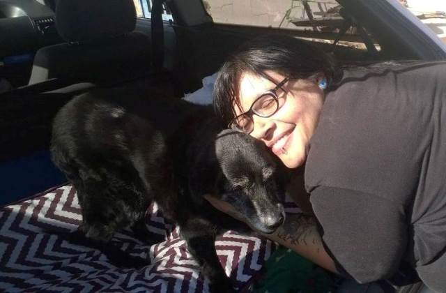 Vira-lata de 20 anos é adotada após passar quase a vida toda nas ruas da capital