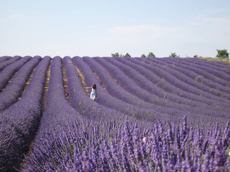 Novidade em primeiríssima mão: Spa L’Occitane chega ao Litoral Norte para o verão