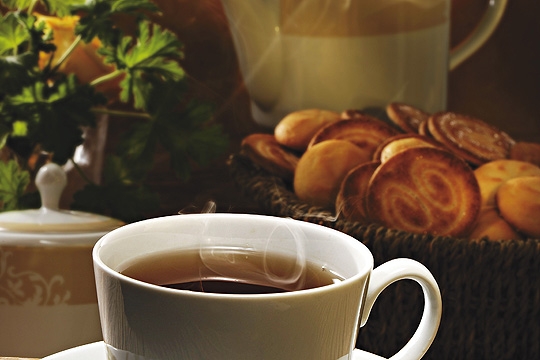 Quinta do Museu agrada por ambiente arborizado Quinta do Museu agrada por ambiente arborizado