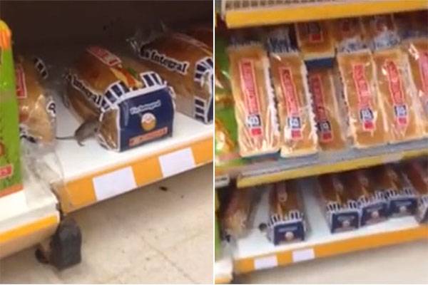 Cliente flagra rato em prateleira de grande rede de supermercados