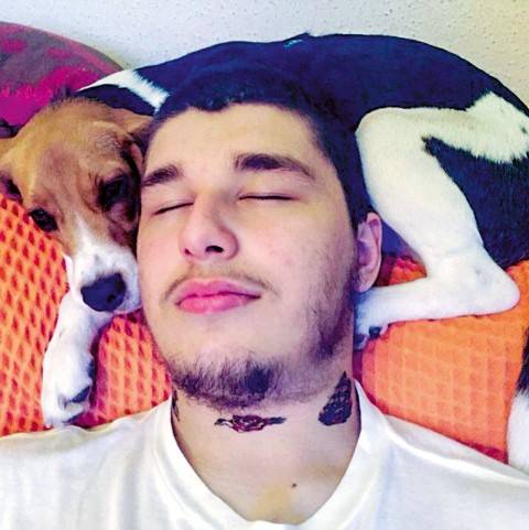 Eu e meu pet: a beagle Lilly e Joaquim